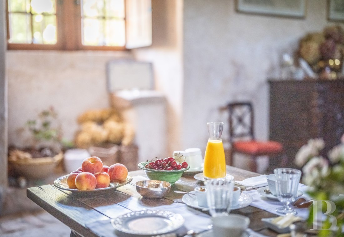 Dans le Tarn, au cœur du vignoble de Gaillac, un château d’origine médiévale entouré de ses vignes - photo  n°17