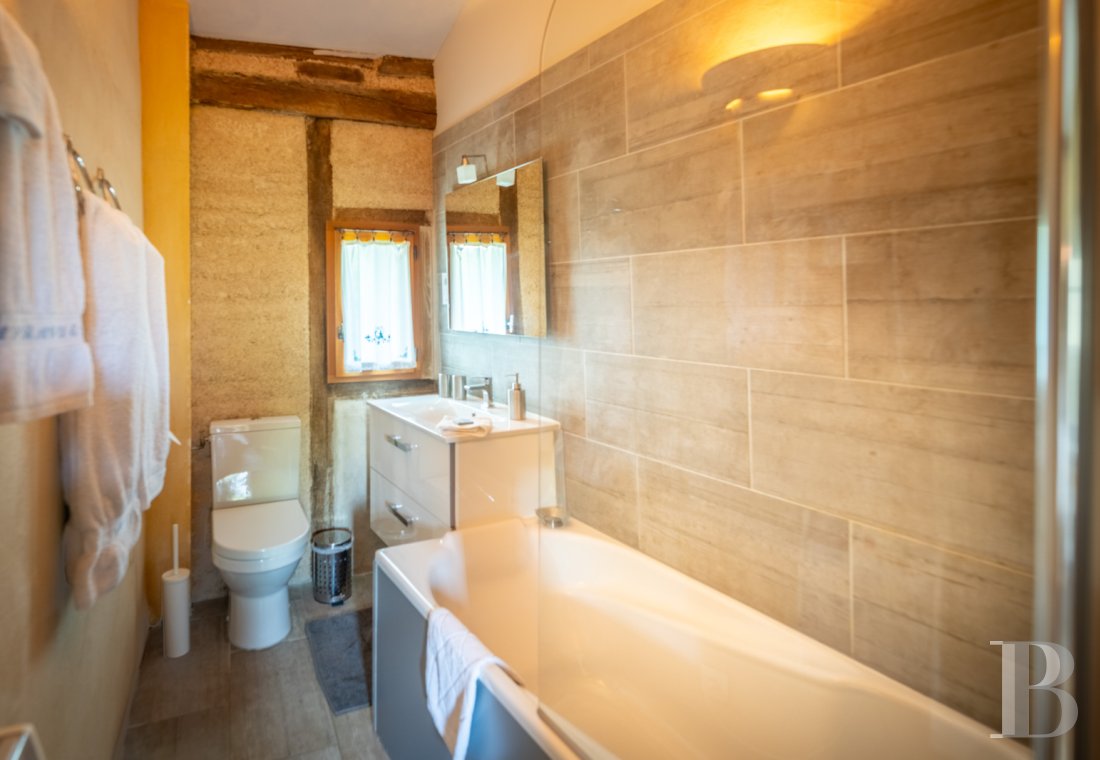 Dans le Tarn, au cœur du vignoble de Gaillac, un château d’origine médiévale entouré de ses vignes - photo  n°40