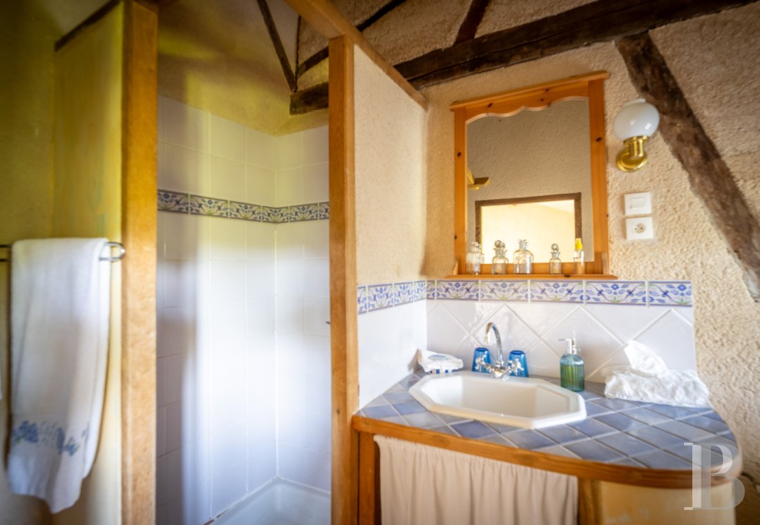 Dans le Tarn, au cœur du vignoble de Gaillac, un château d’origine médiévale entouré de ses vignes - photo  n°37