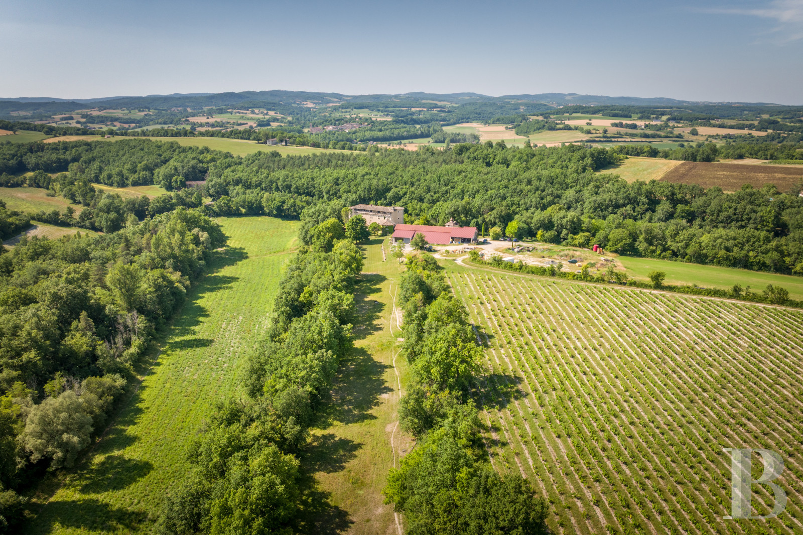 Dans le Tarn, au cœur du vignoble de Gaillac, un château d’origine médiévale entouré de ses vignes - photo  n°2