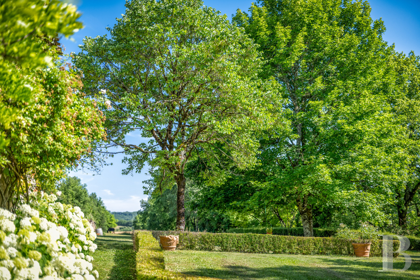 Dans le Tarn, au cœur du vignoble de Gaillac, un château d’origine médiévale entouré de ses vignes - photo  n°10
