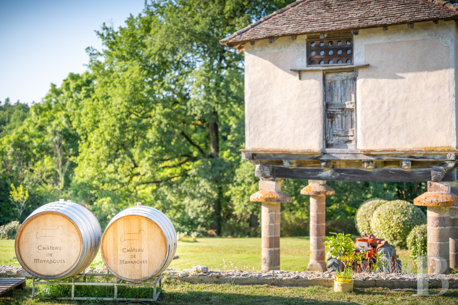 Dans le Tarn, au cœur du vignoble de Gaillac, un château d’origine médiévale entouré de ses vignes - photo  n°3