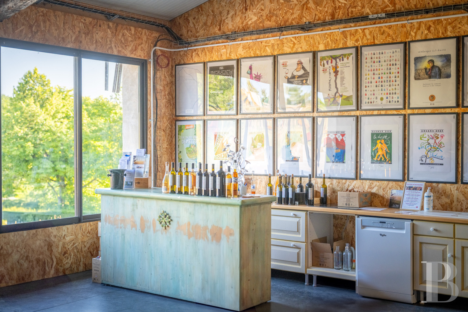 Dans le Tarn, au cœur du vignoble de Gaillac, un château d’origine médiévale entouré de ses vignes - photo  n°46