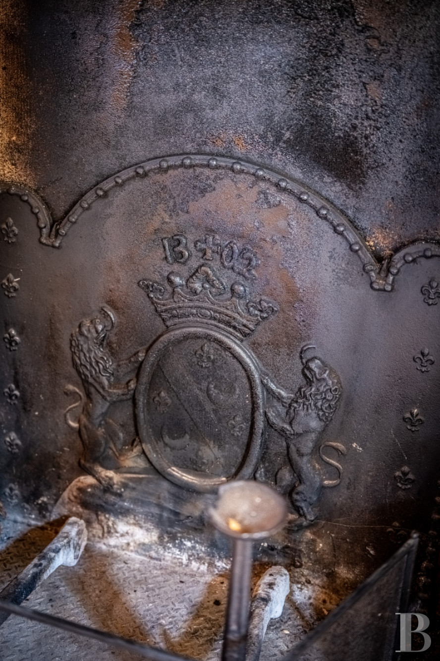 Dans le Tarn, au cœur du vignoble de Gaillac, un château d’origine médiévale entouré de ses vignes - photo  n°15