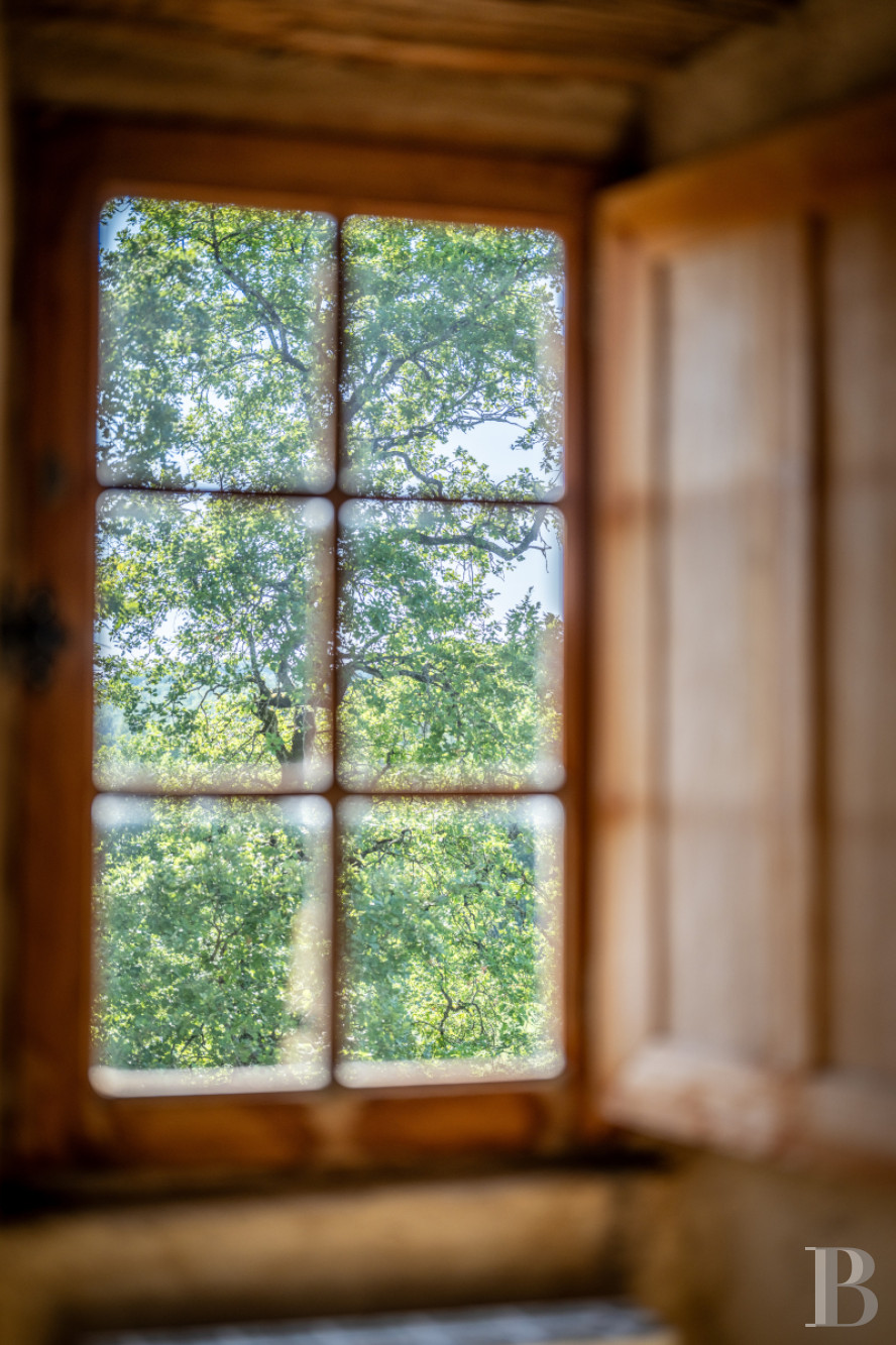 Dans le Tarn, au cœur du vignoble de Gaillac, un château d’origine médiévale entouré de ses vignes - photo  n°23