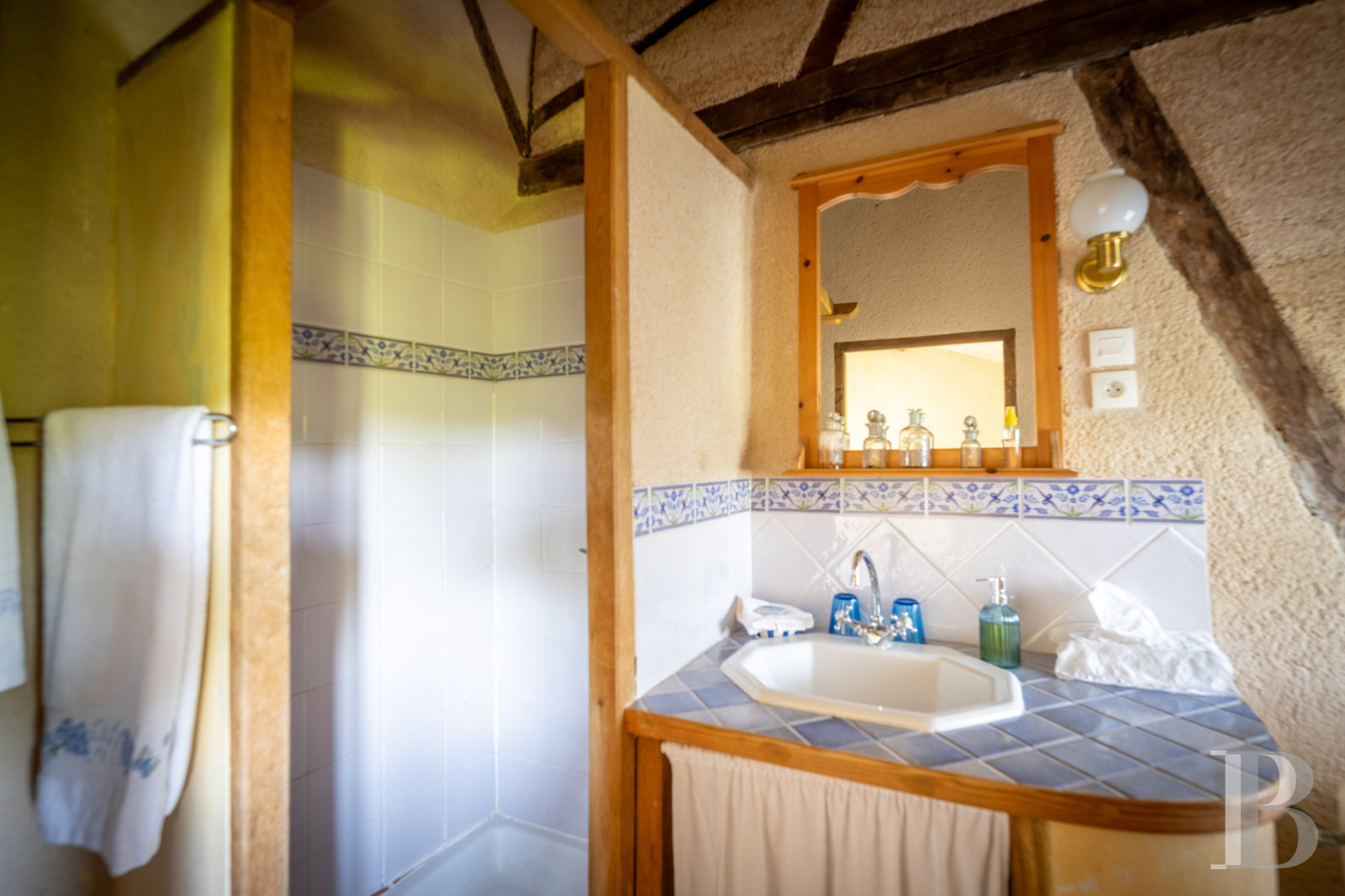 Dans le Tarn, au cœur du vignoble de Gaillac, un château d’origine médiévale entouré de ses vignes - photo  n°37