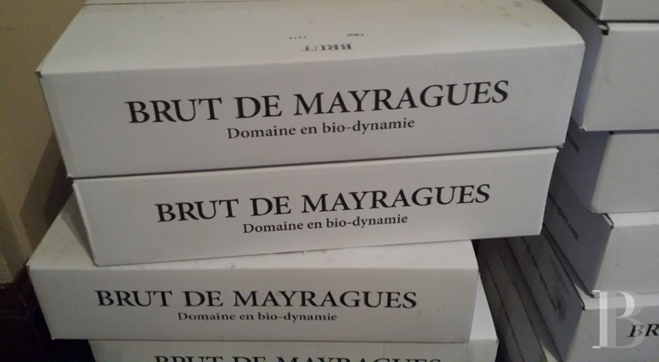Dans le Tarn, au cœur du vignoble de Gaillac, un château d’origine médiévale entouré de ses vignes - photo  n°52