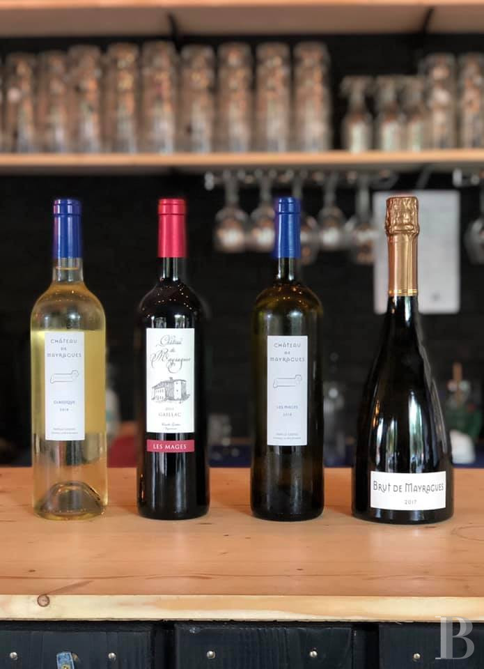 Dans le Tarn, au cœur du vignoble de Gaillac, un château d’origine médiévale entouré de ses vignes - photo  n°47