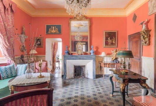 chateaux a vendre paca   - 10