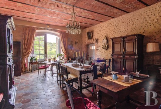 chateaux a vendre paca   - 9