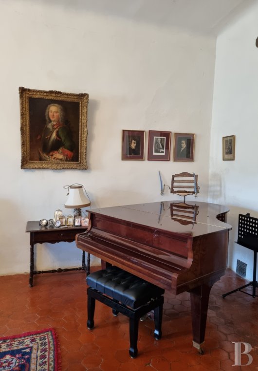 chateaux a vendre paca   - 14