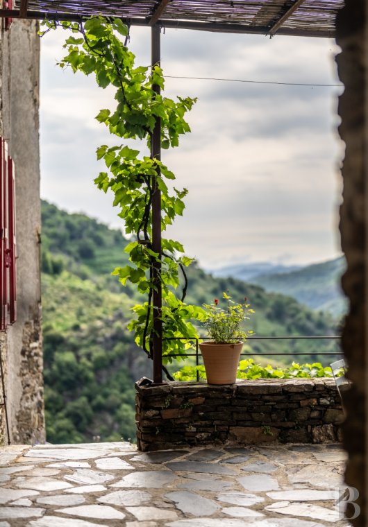 A 13th-century château stands on guard over the Cévennes hills in the southernmost point of the Lozère department, on the border with the Gard department - photo  n°13