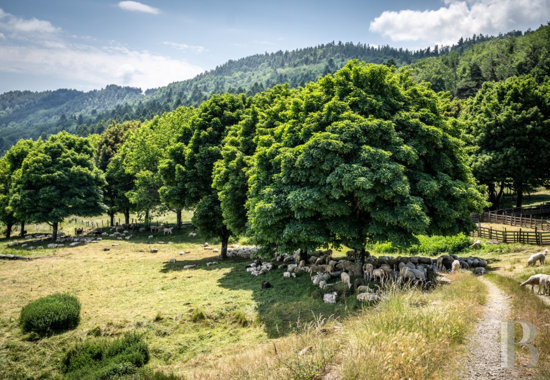 A 13th-century château stands on guard over the Cévennes hills in the southernmost point of the Lozère department, on the border with the Gard department - photo  n°39