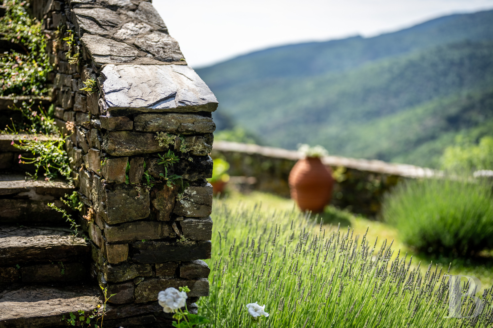 A 13th-century château stands on guard over the Cévennes hills in the southernmost point of the Lozère department, on the border with the Gard department - photo  n°12