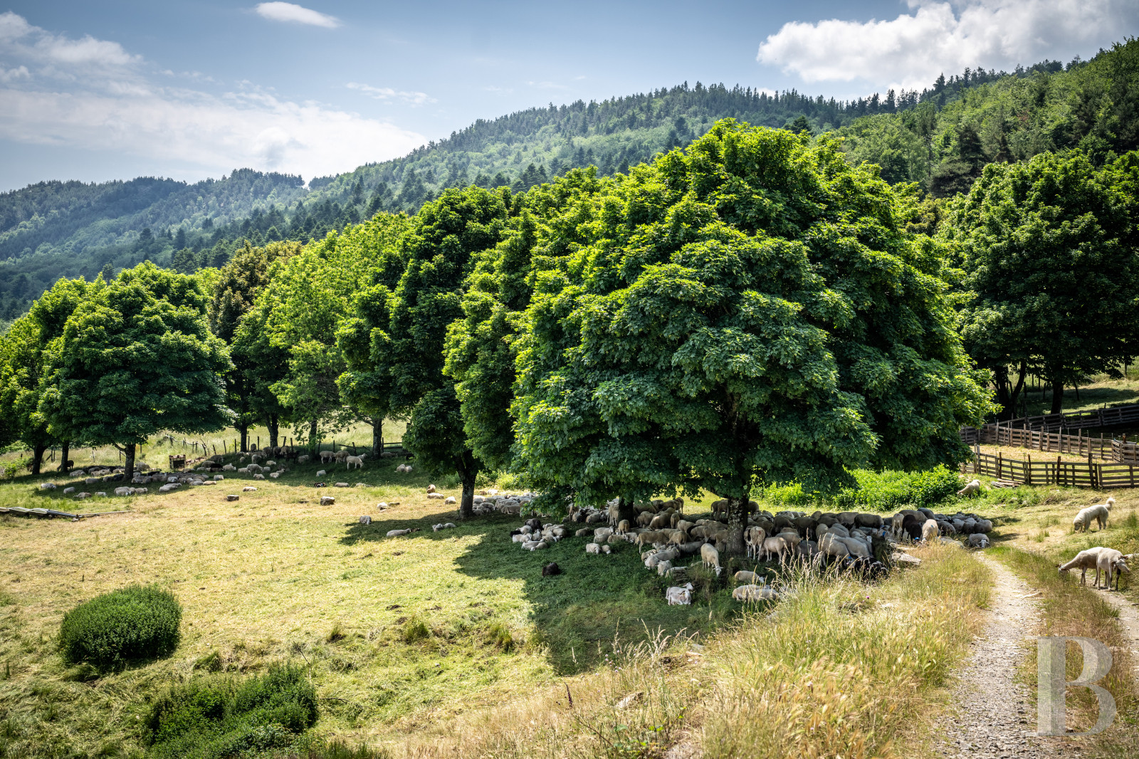 A 13th-century château stands on guard over the Cévennes hills in the southernmost point of the Lozère department, on the border with the Gard department - photo  n°39