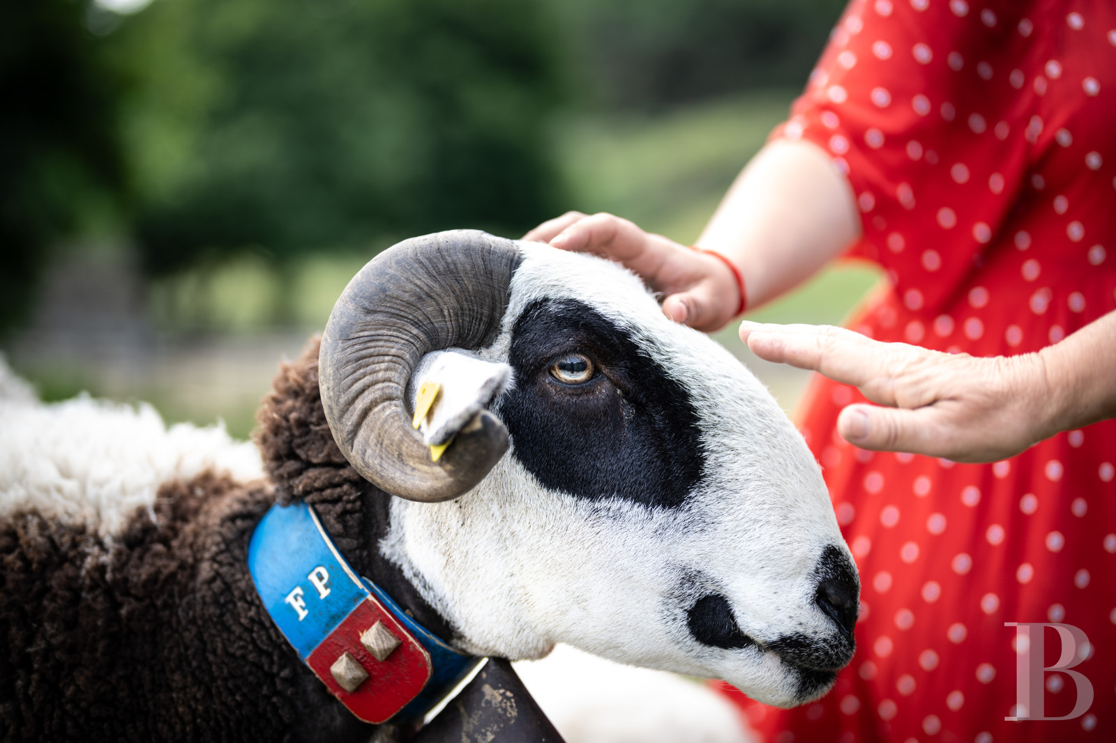 A 13th-century château stands on guard over the Cévennes hills in the southernmost point of the Lozère department, on the border with the Gard department - photo  n°37