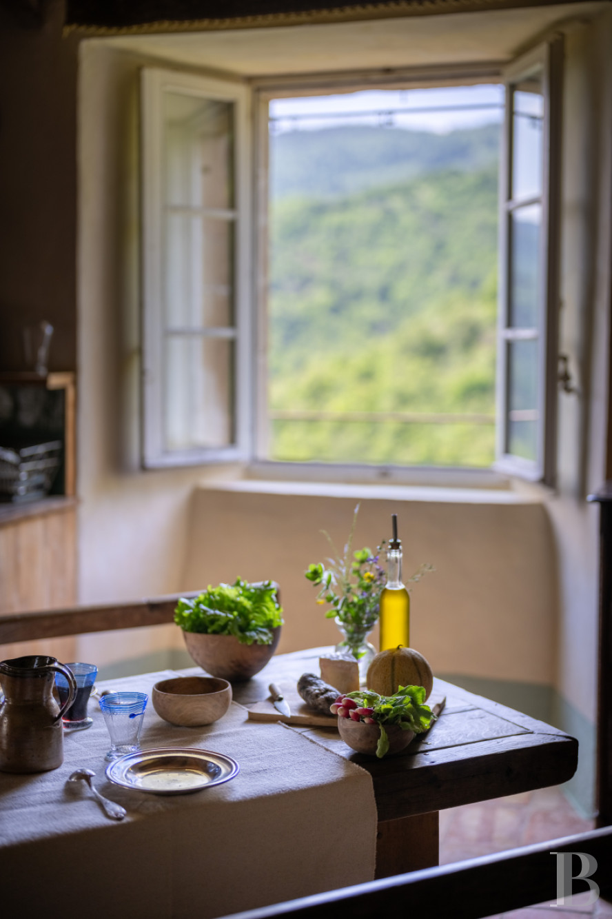 A 13th-century château stands on guard over the Cévennes hills in the southernmost point of the Lozère department, on the border with the Gard department - photo  n°32