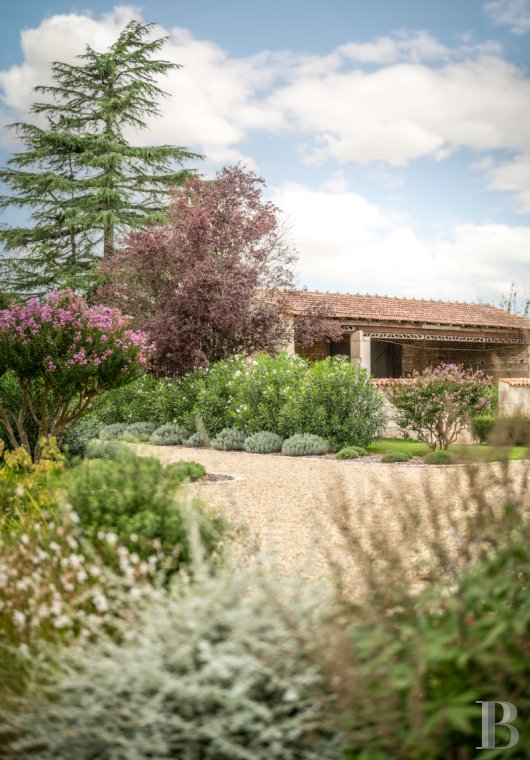 A former vineyard converted into a family home in Charente-Maritime, between Saintes and Royan - photo  n°44