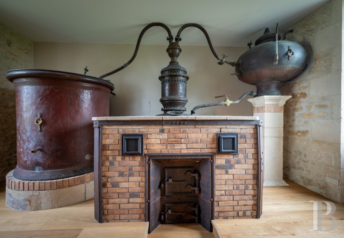 A former vineyard converted into a family home in Charente-Maritime, between Saintes and Royan - photo  n°42