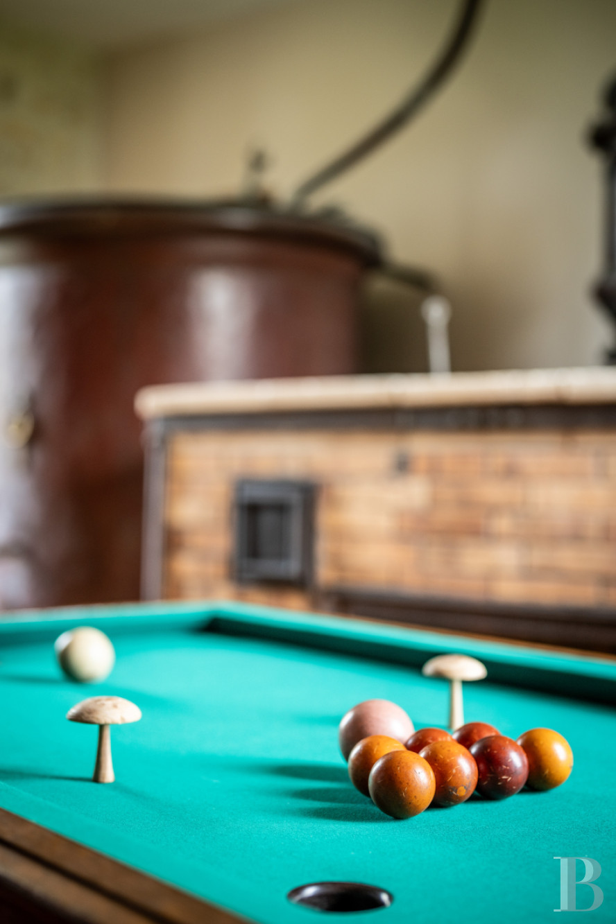 A former vineyard converted into a family home in Charente-Maritime, between Saintes and Royan - photo  n°41