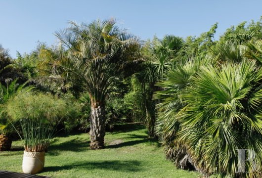 chateaux for sale France aquitaine   - 13