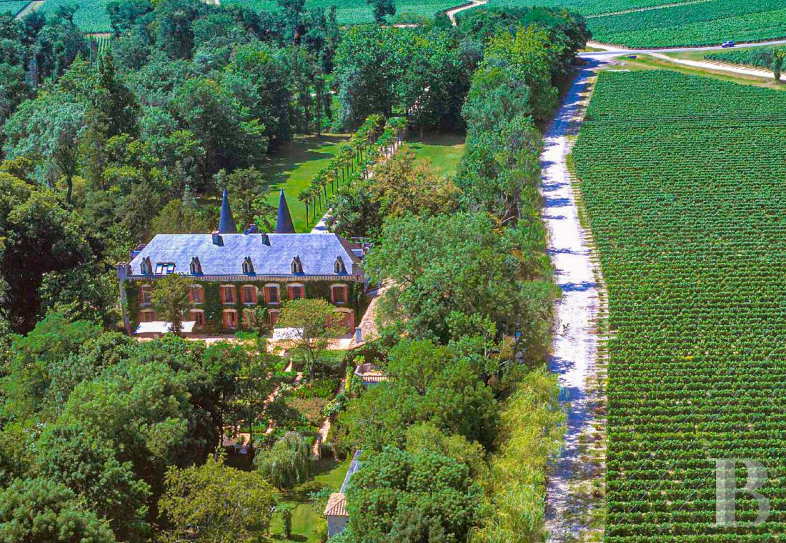chateaux for sale France aquitaine   - 3