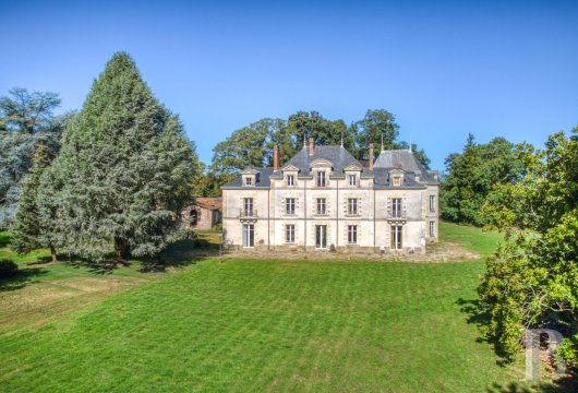 pays-de-loire - Aux portes de Nantes, dans un parc clos de 2,5 ha un château du 19e s., sa chapelle et ses dépendances