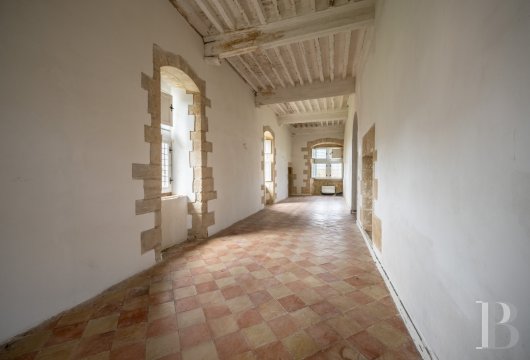 chateaux for sale France languedoc roussillon   - 14