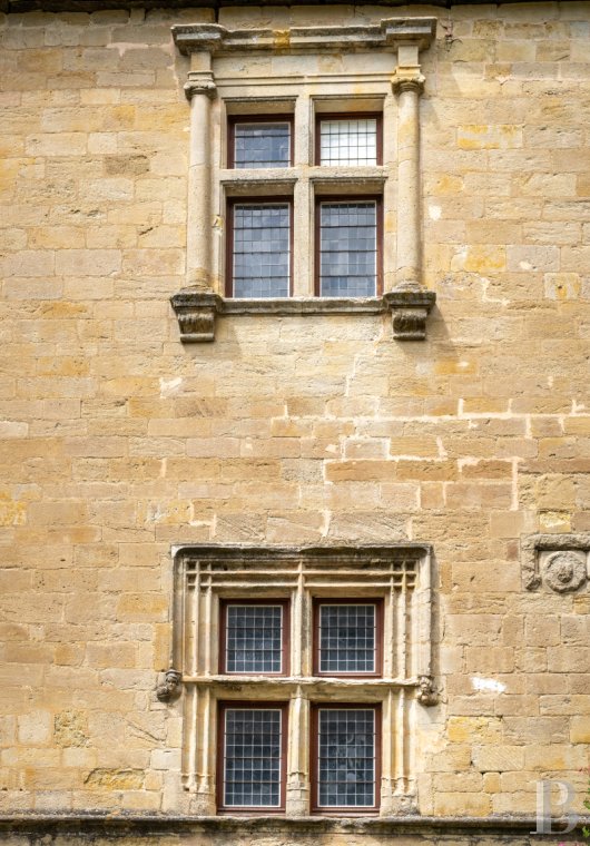 chateaux for sale France languedoc roussillon   - 5