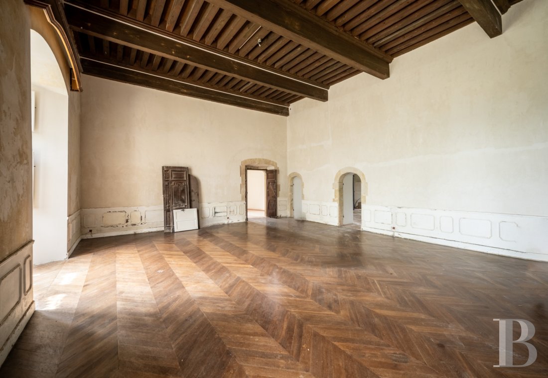 chateaux a vendre languedoc roussillon   - 10