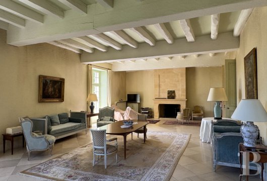 France mansions for sale aquitaine   - 13