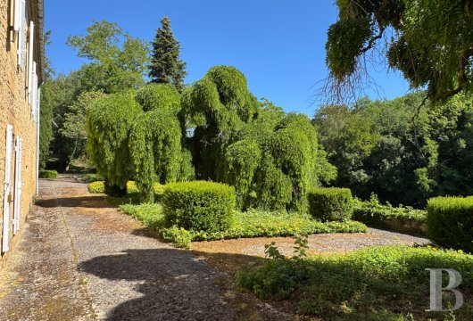 France mansions for sale aquitaine   - 37