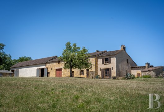 France mansions for sale aquitaine   - 20