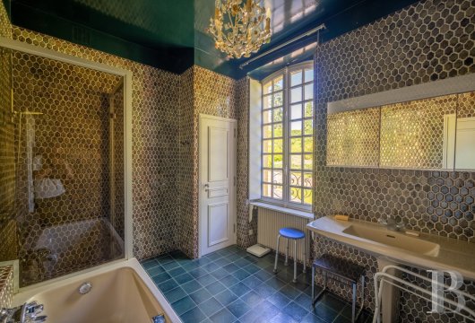 France mansions for sale aquitaine   - 17