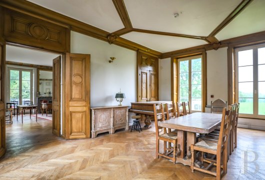 chateaux a vendre ile de france   - 8
