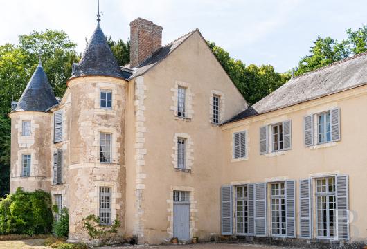 chateaux for sale France center val de loire   - 8