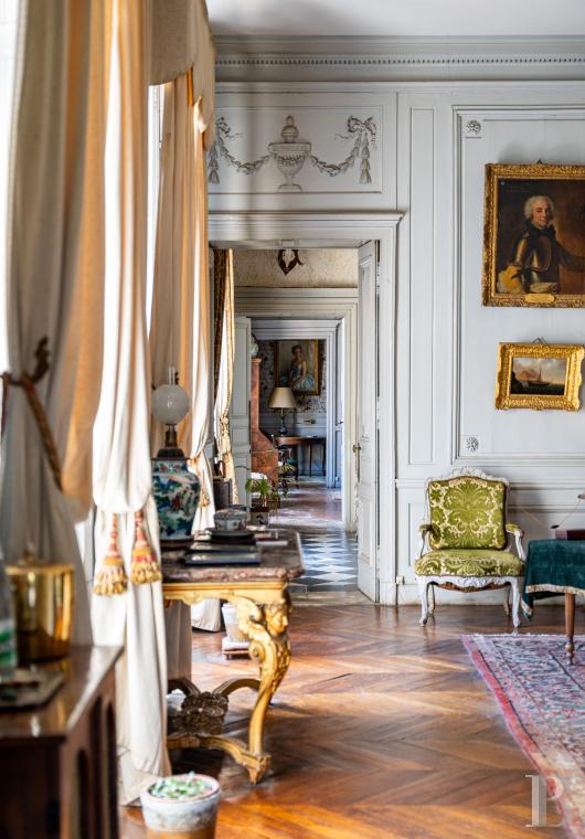 chateaux for sale France center val de loire   - 11