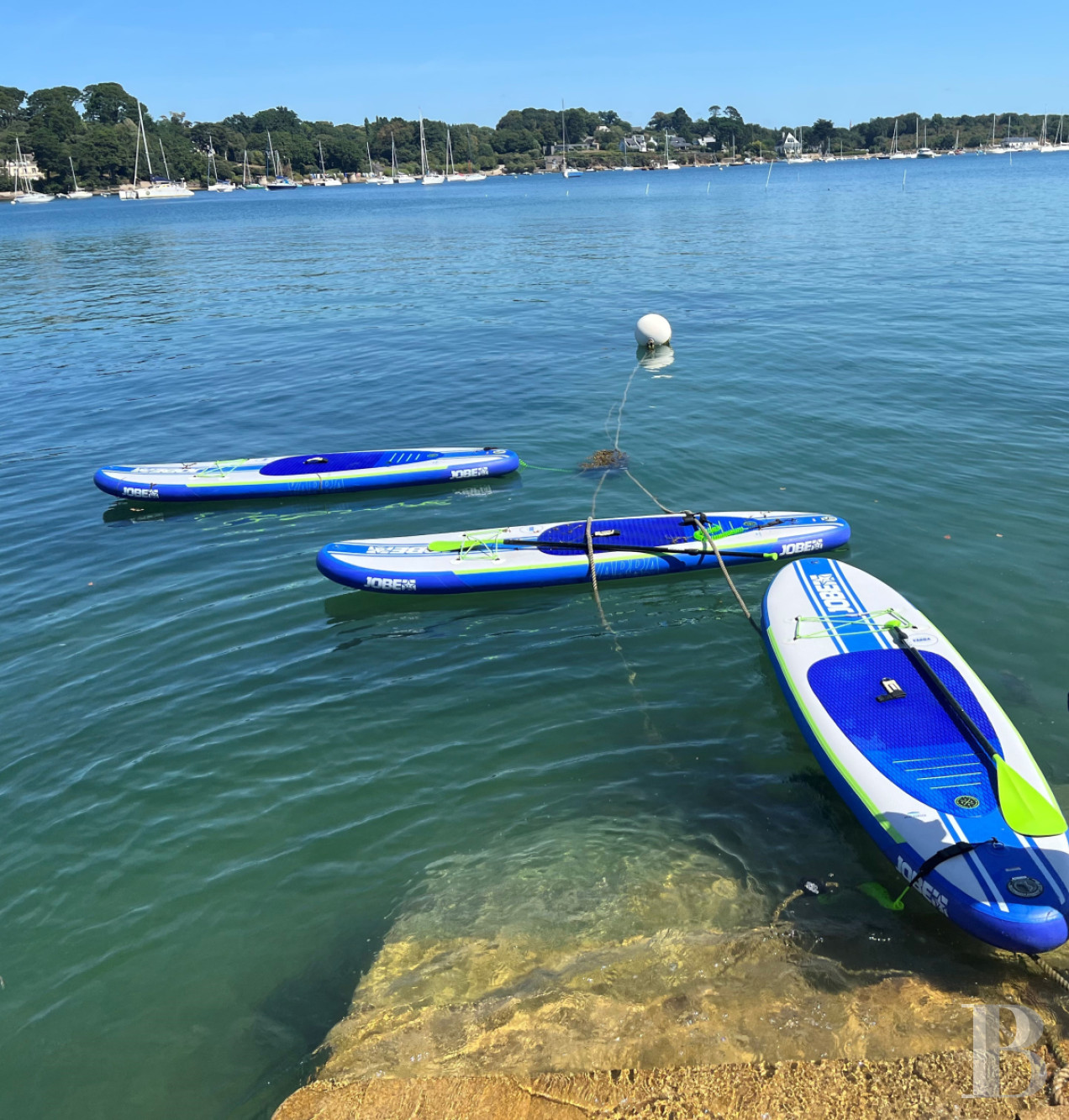 À Arradon, dans le golfe du Morbihan, une île privée de douze hectares et ses deux maisons - photo  n°7