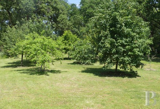 maisons de caractere a vendre poitou charentes   - 13