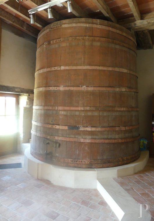 maisons de caractere a vendre poitou charentes   - 8
