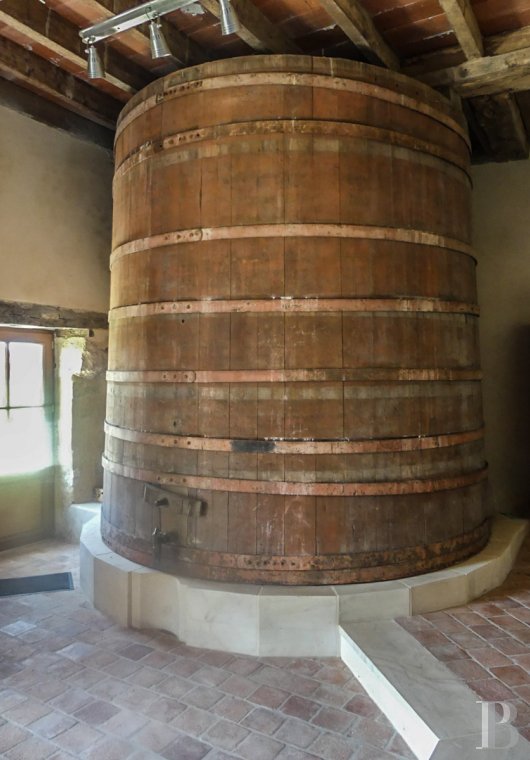 character properties France poitou charentes   - 8