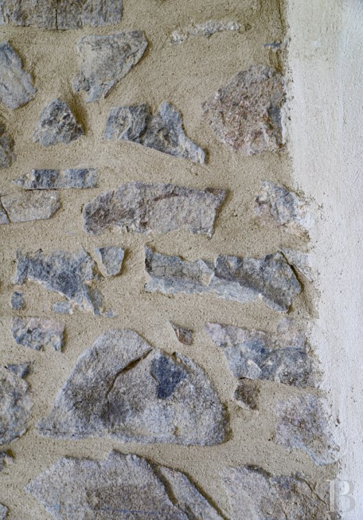 maisons de caractere a vendre bourgogne   - 10