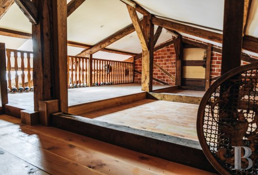 chateaux a vendre rhones alpes   - 19
