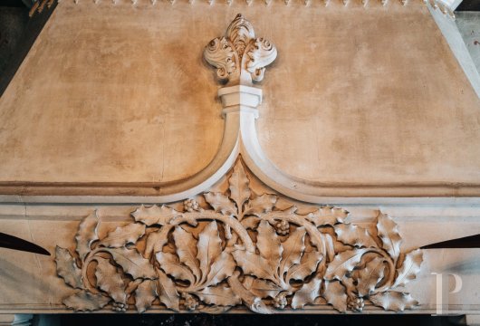 chateaux a vendre rhones alpes   - 12