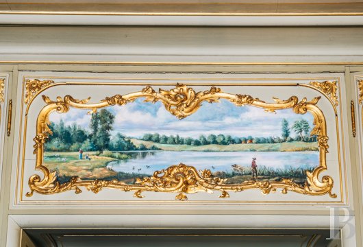 chateaux a vendre rhones alpes   - 12