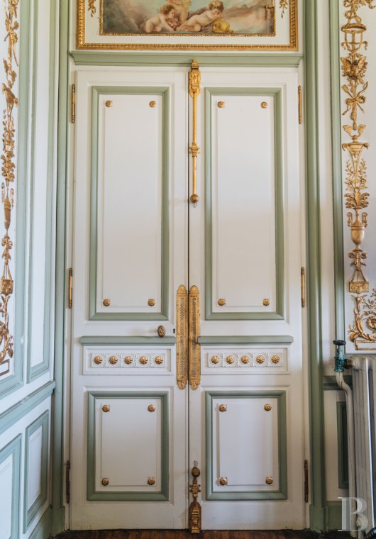 chateaux a vendre rhones alpes   - 7