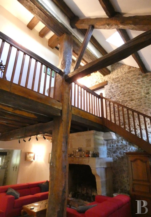 mills for sale France center val de loire   - 7