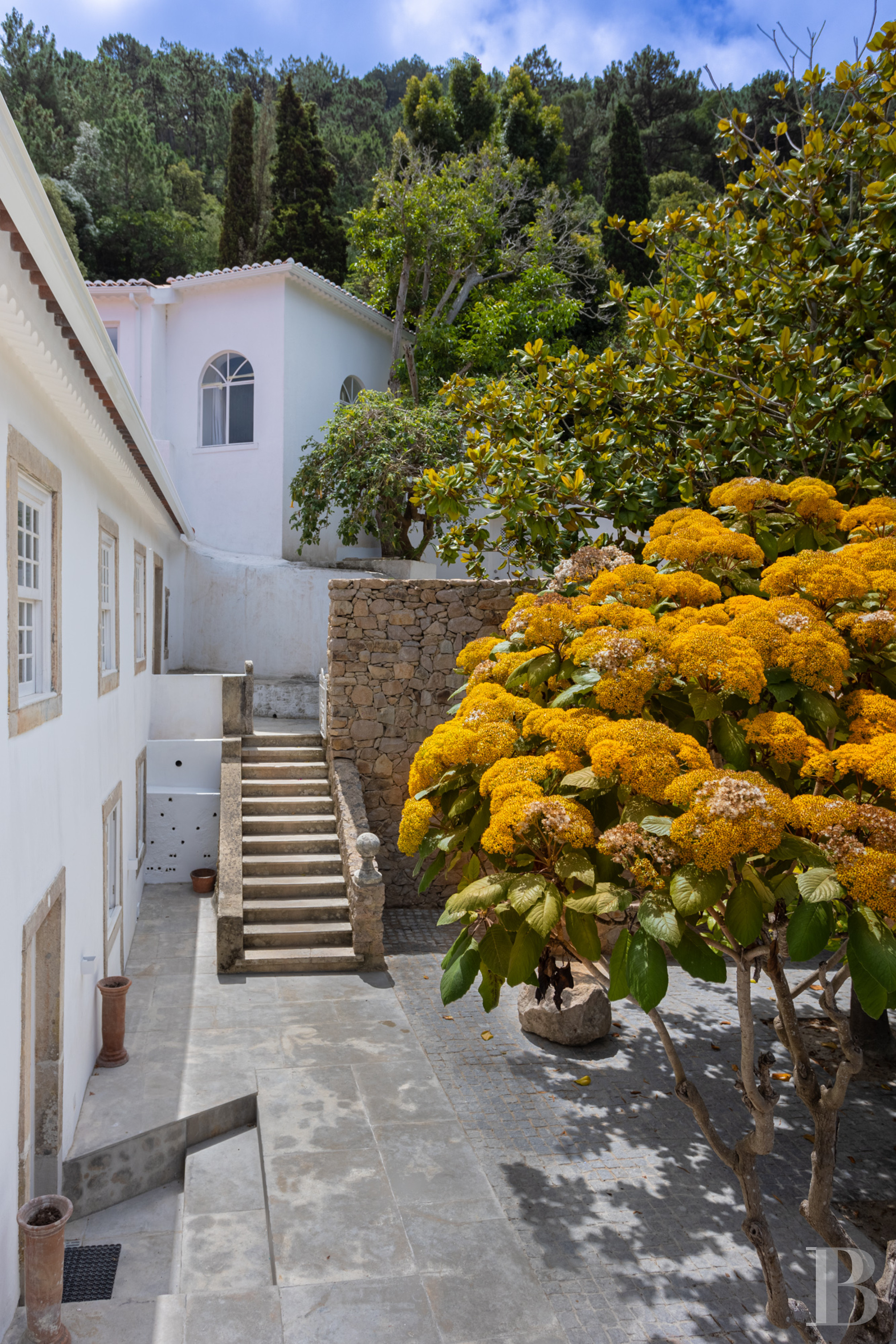 A proximité de Lisbonne, à l’entrée du parc naturel de Sintra-Cascais, une maison de village avec jardin, terrasses et patios - photo  n°6