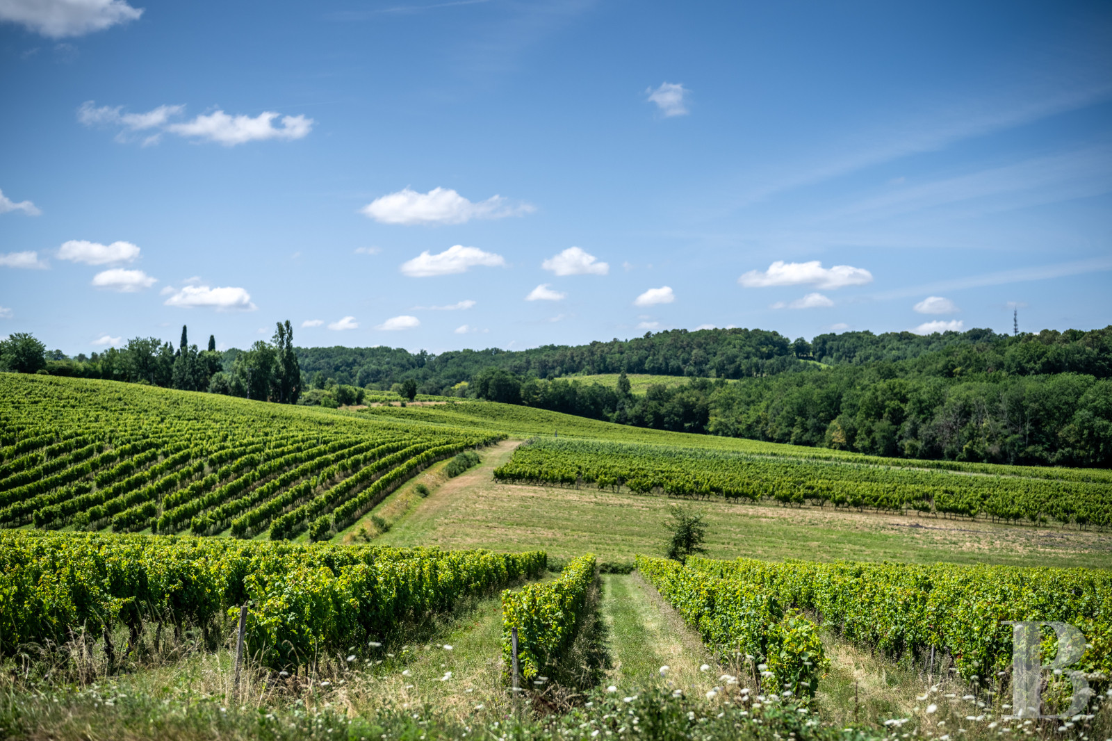 A welcoming 16th-century village house south of Bergerac in the Dordogne  - photo  n°51
