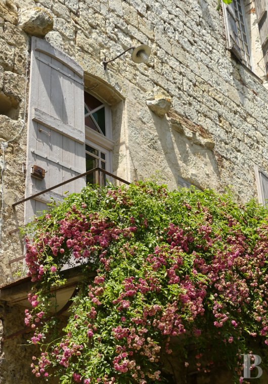 immobilier prestige midi pyrenees   - 2